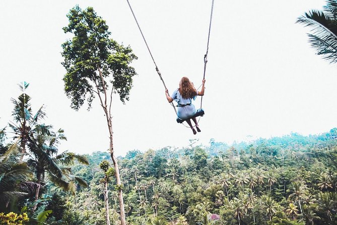 Best of Ubud Tour with Jungle Swing